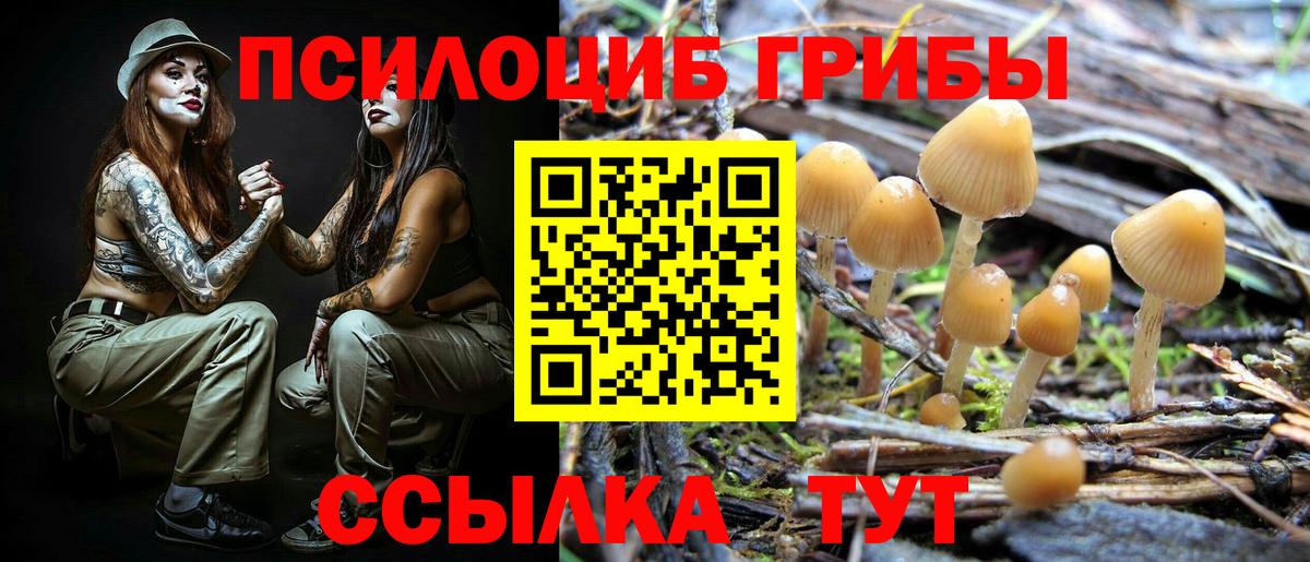 наркошоп  Вход с VPN  Галлюциногенные грибы мухоморы  Егорьевск  Галлюциногенные грибы GOLDEN TEACHER 