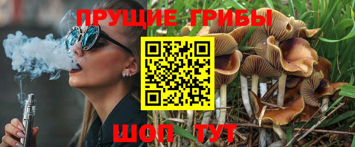 Галлюциногенные грибы MAGIC MUSHROOMS Егорьевск